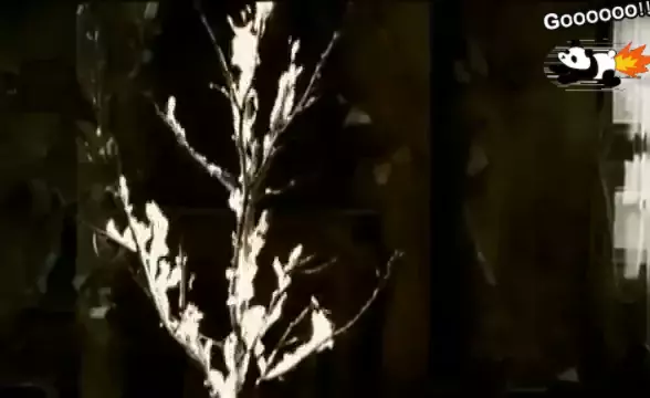 tabby no name threesome Discover