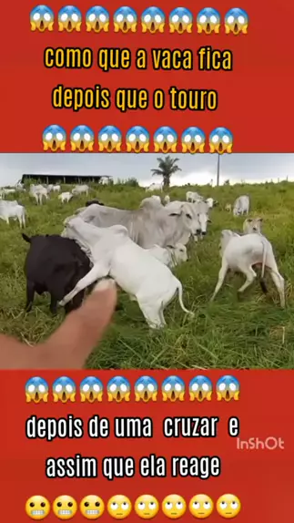 torinha fazendo sexo
