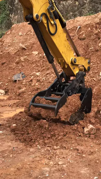 gabi a timida:cat 416f2