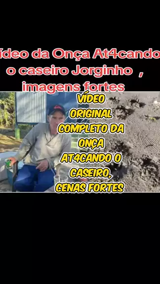 Jorginho Ataque De Onca Discover