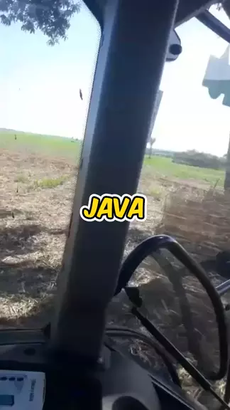 Java