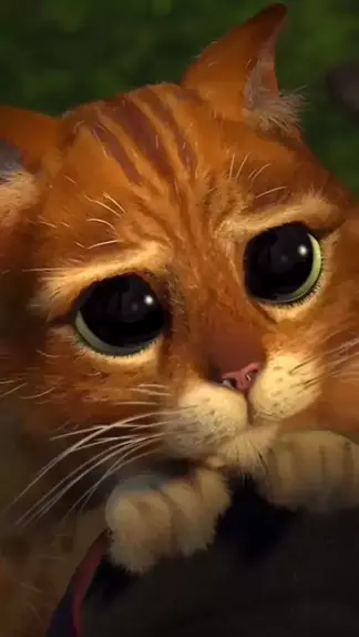 Quero Pedir Desculpas