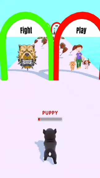 puppy playtime webcam | Discover
