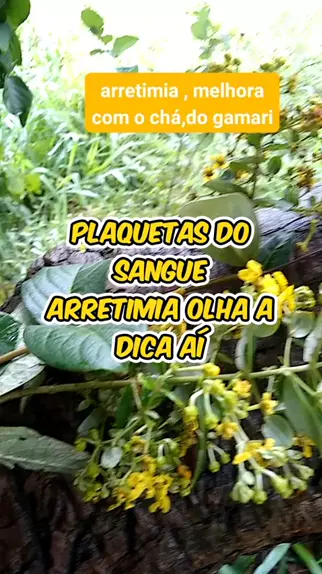 miasorety twitter & miasorety| Discover