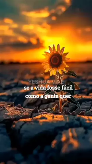 musica se a vida fosse facil como a gente quer | D ...| Kwai