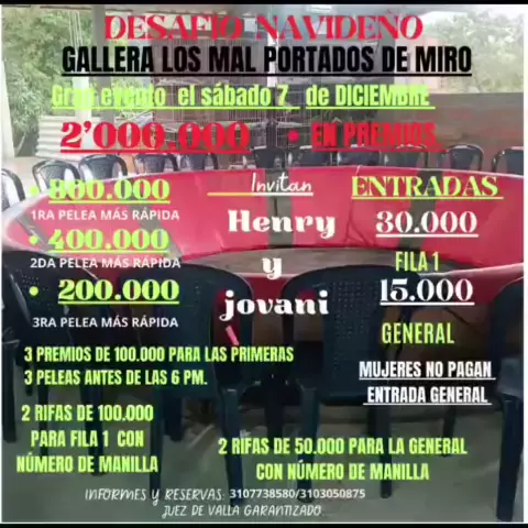 peleas callejeras de chicas & pelea de mujeres cal| Kwai