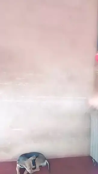 edinai mello pelada