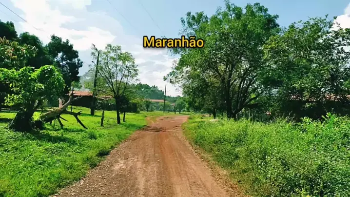 babychar_17 & babychar17 video uploadDiscover