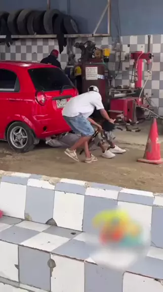 funnycams innocams | Discover