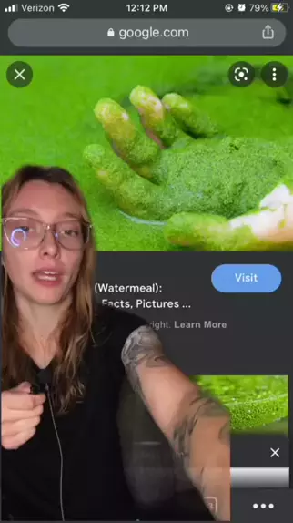 noemyiscool_ pictures | Discover